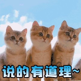 陌陌平台活动:完成指定任务=佣金+系统选配同城美女上门