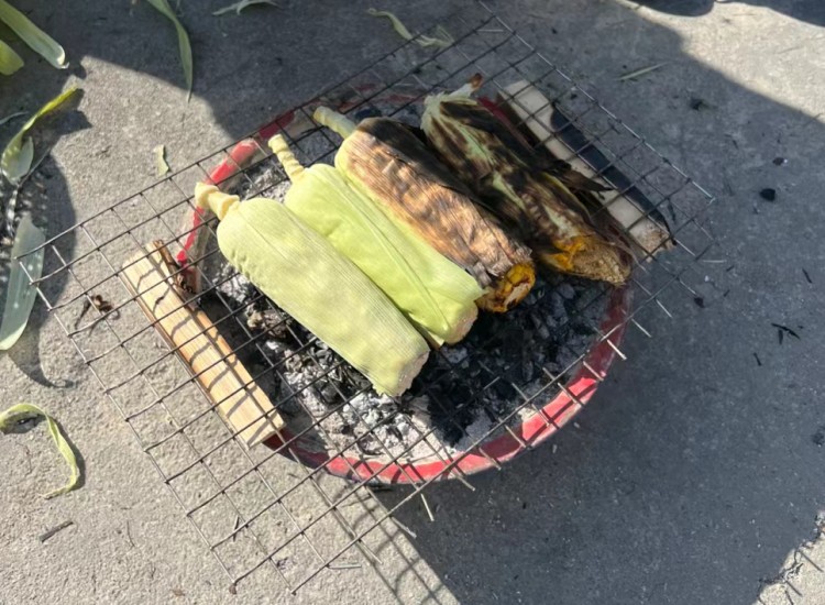 00后女儿旅游第二天拉黑42岁老母亲一天发300条微信吃啥都管